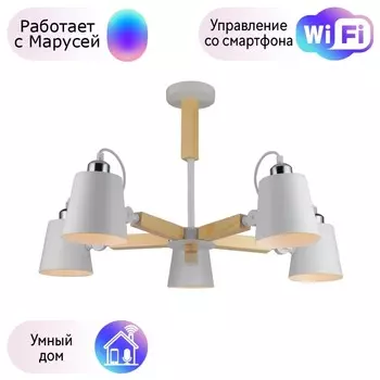 Потолочная люстра Arte Lamp с поддержкой Маруся A7141PL-5WH-М