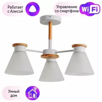 Потолочная люстра Arte Lamp Tyler с поддержкой Алиса A1031PL-3WH-A