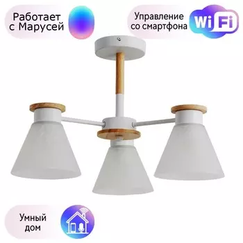 Потолочная люстра Arte Lamp Tyler с поддержкой Маруся A1031PL-3WH-М