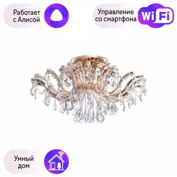 Потолочная люстра Chiaro Луиза с поддержкой Алиса 383010106-A