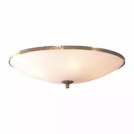 Потолочная люстра Citilux Белый CL912500