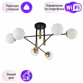 Потолочная люстра Crystal Lux с поддержкой Алиса FIDEL PL6 BLACK-А