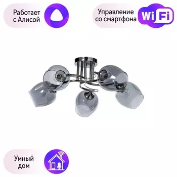 Потолочная люстра De Markt Альфа с поддержкой Алиса 324016105-A