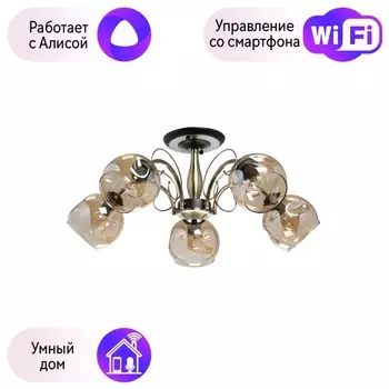 Потолочная люстра De Markt Альфа с поддержкой Алиса 324016505-A