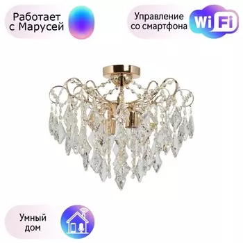 Потолочная люстра De Markt City Бриз с поддержкой Маруся 464019304-М