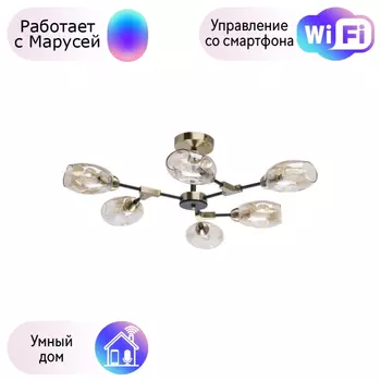 Потолочная люстра De Markt Гамбург с поддержкой Маруся 605012106-М