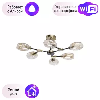 Потолочная люстра De Markt Гамбург с поддержкой Алиса 605012106-A