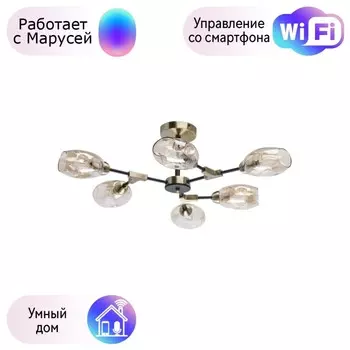 Потолочная люстра De Markt Гамбург с поддержкой Маруся 605012106-М