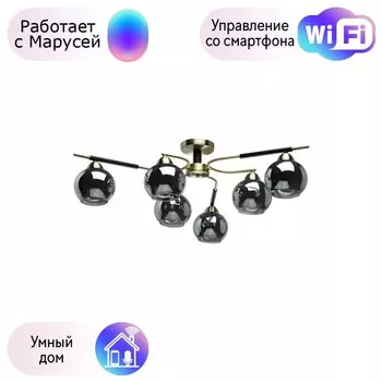 Потолочная люстра De Markt Гамбург с поддержкой Маруся 605014606-М