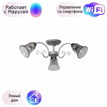 Потолочная люстра De Markt Моника с поддержкой Маруся 372014903-М