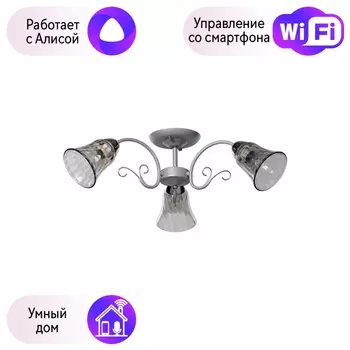 Потолочная люстра De Markt Моника с поддержкой Алиса 372014903-A