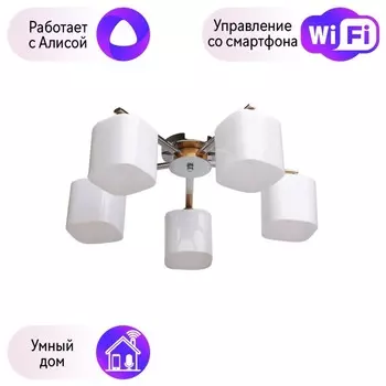 Потолочная люстра De Markt Николь с поддержкой Алиса 364013605-A