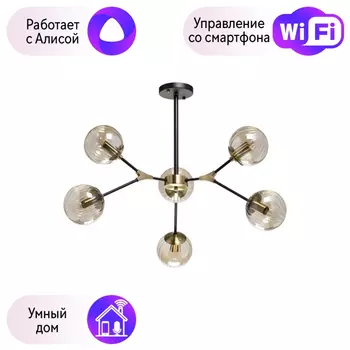 Потолочная люстра DeMarkt Гамбург с поддержкой Алиса 605016206-A