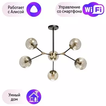 Потолочная люстра DeMarkt Гамбург с поддержкой Алиса 605016206-A