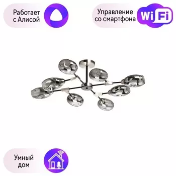 Потолочная люстра DeMarkt Гамбург с поддержкой Алиса 605016508-A