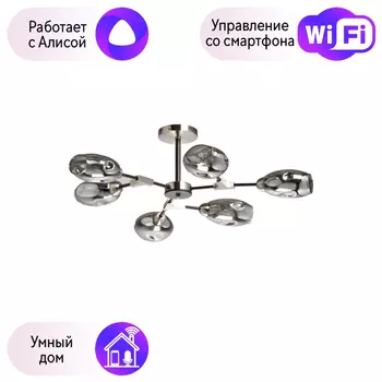 Потолочная люстра DeMarkt Гамбург с поддержкой Алиса 605016406-A