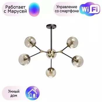 Потолочная люстра DeMarkt Гамбург с поддержкой Маруся 605016206-М