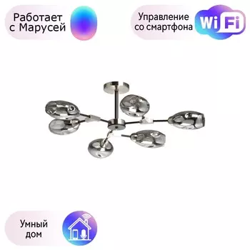 Потолочная люстра DeMarkt Гамбург с поддержкой Маруся 605016406-М