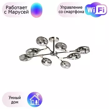 Потолочная люстра DeMarkt Гамбург с поддержкой Маруся 605016508-М