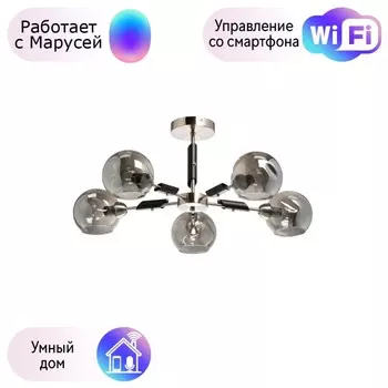 Потолочная люстра DeMarkt Гамбург с поддержкой Маруся 605016605-М