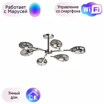 Потолочная люстра DeMarkt Гамбург с поддержкой Маруся 605016406-М