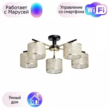 Потолочная люстра DeMarkt Лацио с поддержкой Маруся 103013005-М