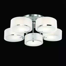 Потолочная люстра Evoluce Foresta SL483.502.05