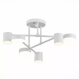 Потолочная светодиодная люстра Nobel Evoluce SLE201052-06