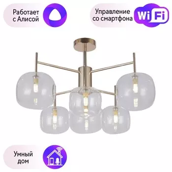 Потолочная люстра F-Promo Beaker с поддержкой Алиса 2976-6P-A