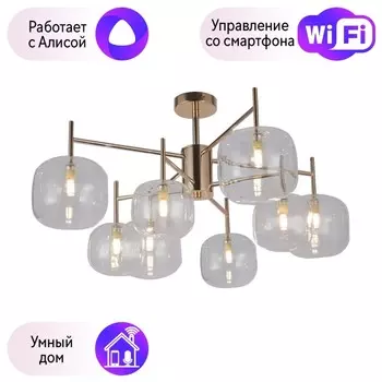 Потолочная люстра F-Promo Beaker с поддержкой Алиса 2976-8P-A