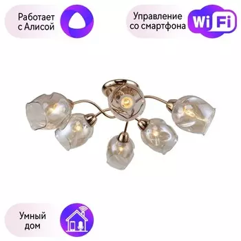 Потолочная люстра F-Promo Bento с поддержкой Алиса 2190-6U-A