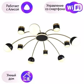 Потолочная люстра F-Promo Canvas с поддержкой Алиса 3096-10P-A