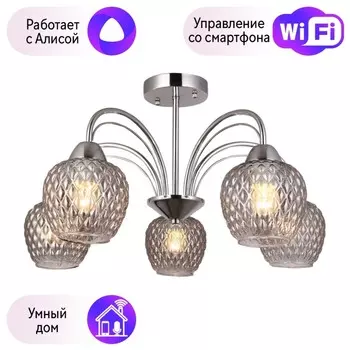 Потолочная люстра F-Promo Olimp с поддержкой Алиса 2540-5U-A