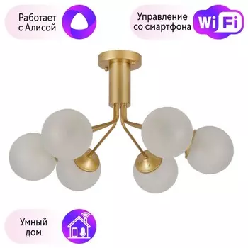 Потолочная люстра F-Promo Pax с поддержкой Алиса 2631-6U-A