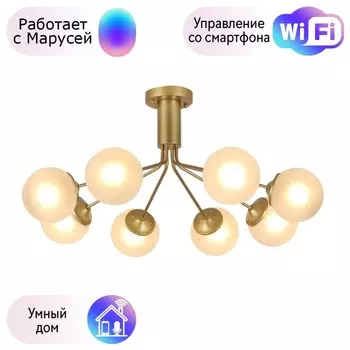 Потолочная люстра F-Promo Pax с поддержкой Маруся 2631-8U-М