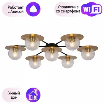 Потолочная люстра F-Promo Roshni с поддержкой Алиса 3049-7P-A