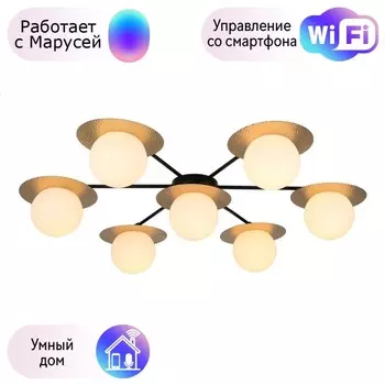 Потолочная люстра F-Promo Roshni с поддержкой Маруся 3050-7P-М