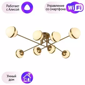 Потолочная люстра F-Promo Stripy с поддержкой Алиса 3051-8P-A