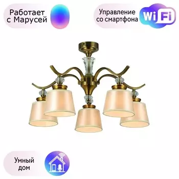 Потолочная люстра F-Promo Unitas с поддержкой Маруся 2853-5P-М