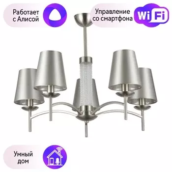 Потолочная люстра F-promo Velum с поддержкой Алиса 2906-5P-A