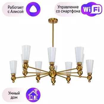 Потолочная люстра Favourite Nimbus с поддержкой Алиса 2996-10P-A