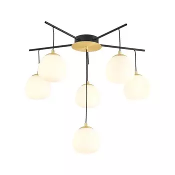 Потолочная люстра Favourite Paramount 3047-6P