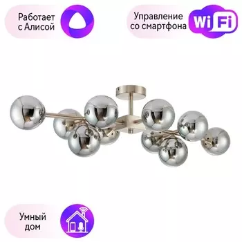 Потолочная люстра Favourite Varietas с поддержкой Алиса 2650-10U-A