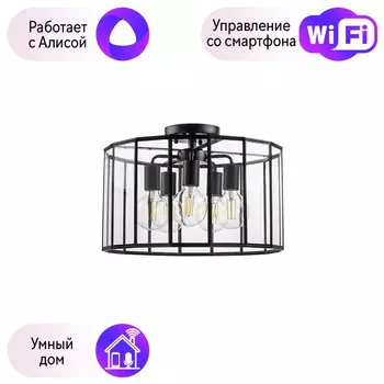 Потолочная люстра Genni Lightstar с поддержкой Алисы, 798257