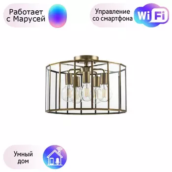 Потолочная люстра Genni Lightstar с поддержкой Маруся 798251