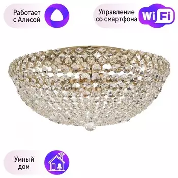 Потолочная люстра хрустальная Arti Lampadari Asti с поддержкой Алиса Asti E 1.2.50.100 G-A