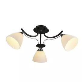 Потолочная люстра Kristian Wedo light 66381.01.13.03