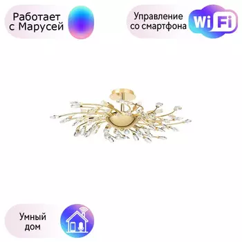 Потолочная люстра Lightstar с поддержкой Маруся Isabelle 791182