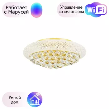 Потолочная люстра Lightstar с поддержкой Маруся Monile 704092