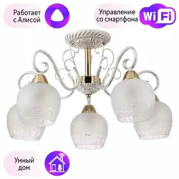 Потолочная люстра Lumion Biancopa с поддержкой Алиса 3505/5C-A